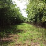 Recreational land for sale in Natchitoches Parish