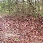 Recreational land for sale in DeSoto Parish