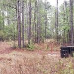 Investment land for sale in DeSoto Parish