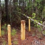 Timberland for sale in DeSoto Parish