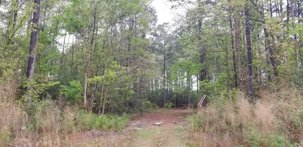 Timberland property for sale in DeSoto Parish