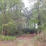 Timberland property for sale in DeSoto Parish