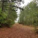 DeSoto Parish Investment property for sale