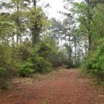 DeSoto property for sale