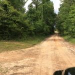 Recreational land for sale in Winn Parish