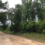 Recreational land for sale in Winn Parish