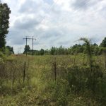 Timberland for sale in Winn Parish