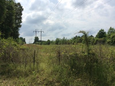 Timberland for sale in Winn Parish