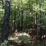 Grant Parish Recreational property for sale