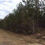 Hunting property for sale in Caldwell Parish