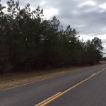 Recreational land for sale in Caldwell Parish