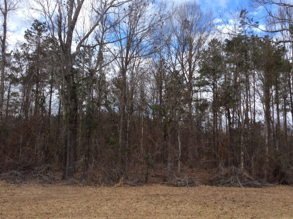 Caldwell Parish Hunting property for sale