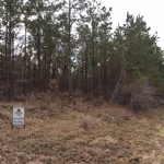 Timberland property for sale in Caldwell Parish