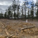 Caldwell Parish Residential land for sale