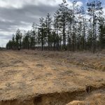 Residential property for sale in Caldwell Parish