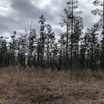 Caldwell Parish Development property for sale