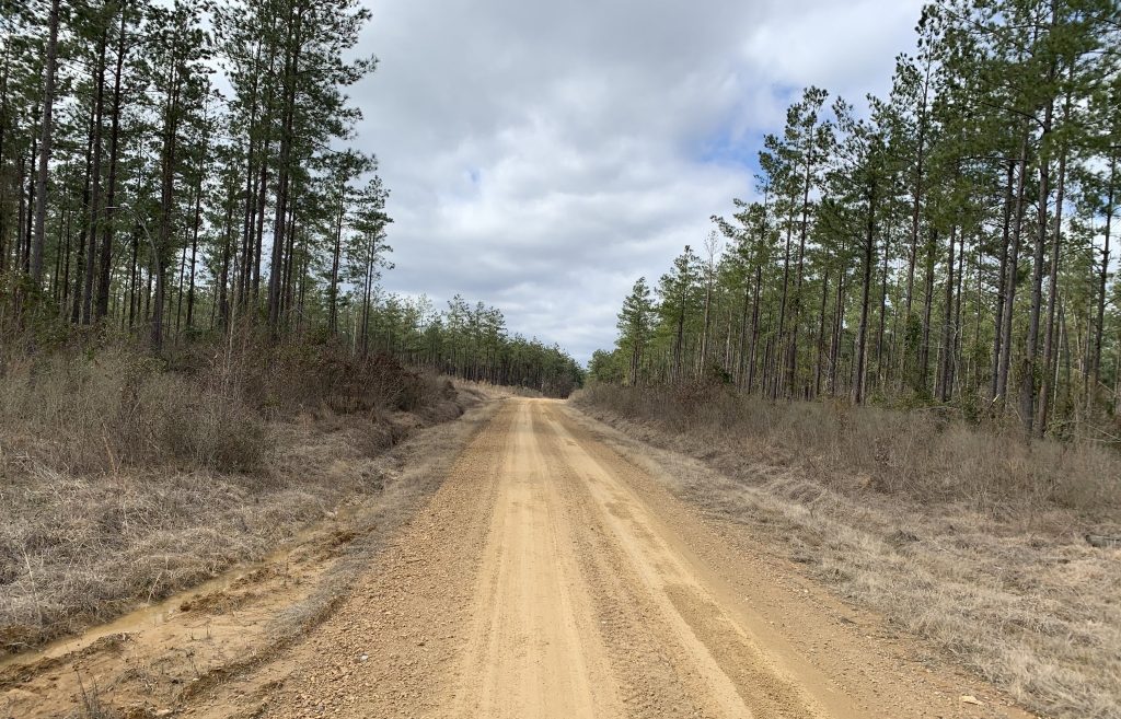 Caldwell Parish Residential property for sale