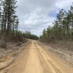 Caldwell Parish Residential property for sale