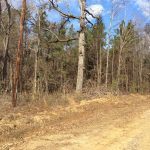 Caldwell Parish Recreational land for sale
