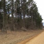 Timberland property for sale in Caldwell Parish
