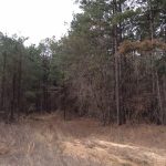 Caldwell Parish Investment land for sale