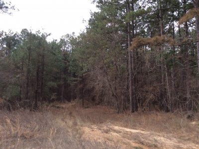 Caldwell Parish Investment land for sale