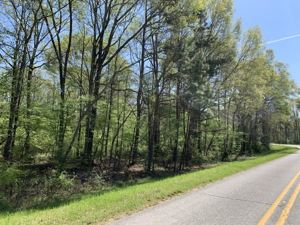 Caldwell Parish Timberland for sale