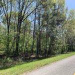 Caldwell Parish Timberland for sale