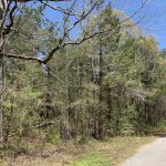 Caldwell Parish Recreational land for sale