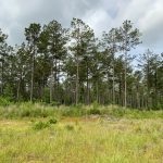 La Salle Parish Development land for sale