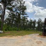 Timberland for sale in La Salle Parish