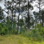 La Salle Parish Recreational property for sale