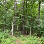 La Salle Parish Development land for sale