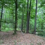 La Salle Parish Recreational property for sale