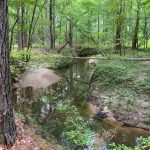 Development land for sale in La Salle Parish