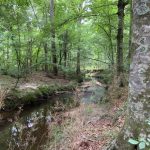 Development land for sale in La Salle Parish