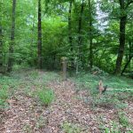 La Salle Parish Development land for sale