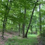 Development land for sale in La Salle Parish