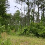 La Salle Parish Development property for sale