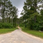 Timberland property for sale in La Salle Parish