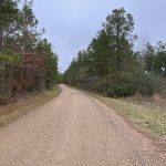 Catahoula Parish Hunting property for sale