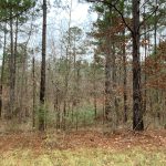 Catahoula Parish Recreational land for sale