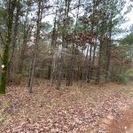Catahoula Parish Timberland property for sale