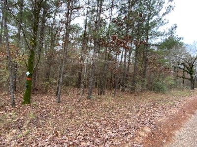 Catahoula Parish Timberland property for sale