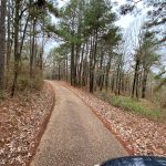 Timberland property for sale in Catahoula Parish