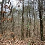 Catahoula Parish Recreational property for sale