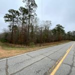 Catahoula Parish Timberland for sale