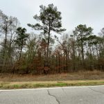 Catahoula Parish Timberland property for sale
