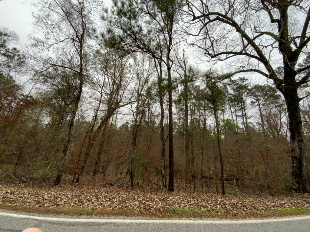 Catahoula Parish Recreational land for sale