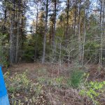 La Salle Parish Recreational property for sale